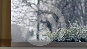 Woman opens curtain to snow falling trees on winter day view through window