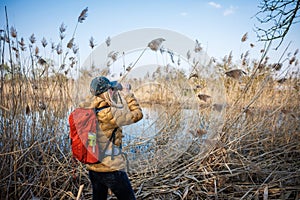 Woman ornithologist is watching birds with binoculars