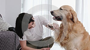 Woman Owner Brushing Paws And Cutting Fur Her Dog