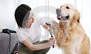 Woman Owner Brushing Paws And Cutting Fur Her Dog