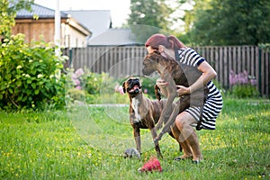 Woman owner playing with her two Boxer breed dogs in the yard