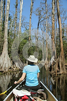 Woman Paddling a Canoe - Okefenokee Swamp