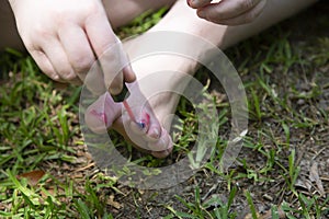 Woman Painting Her Nails