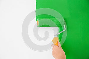 Woman painting white wall with green dye. Interior renovation