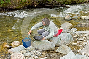 A woman panning for gold at spruce creek, bc