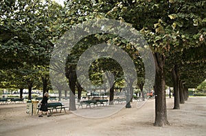 A woman in Paris walks in a park among the trees