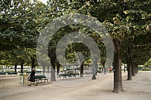 A woman in Paris walks in a park among the trees photo