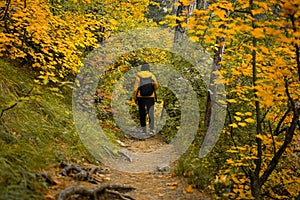 Woman path autumn forest. A young dark-haired woman in a yellow-black suit