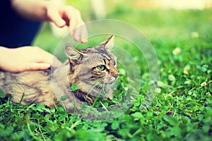 Woman pets cat