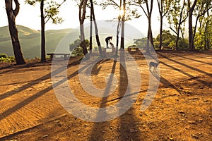 A woman pets a dog as the sun rises at Kemmangundi, Karnataka, India.