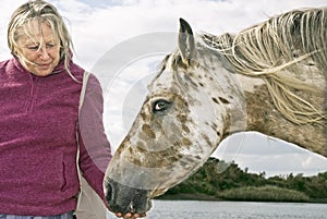 Woman petting horse