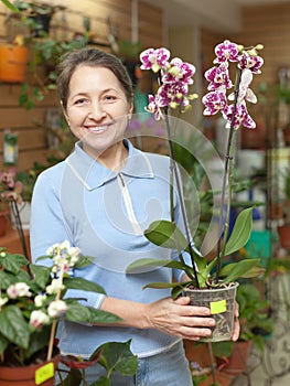 Woman with Phalaenopsis orchid at flower shop