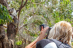 Woman photographer