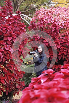 Woman photographer in nature at autumn park