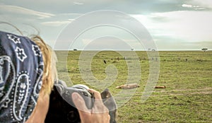 A woman photographer photographing sleeping lions on the plains of Africa from a safari jeep.