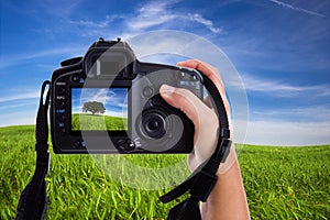 Woman photographing landscape with digital camera