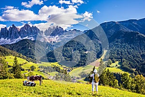 Woman photographs at Dolomites and cows