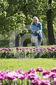 Woman photographs a flower bed with spring blooming tulips