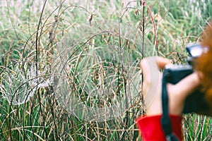 Woman photographs the web on the wet grass