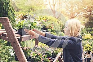 Woman pick flower pot from shelf at garden plant nursery store
