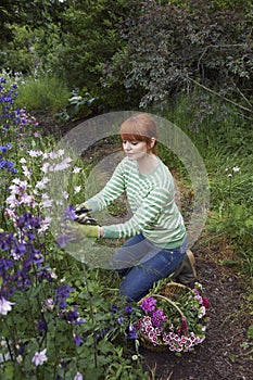 Woman Picking Flowers In Garden