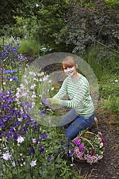 Woman Picking Flowers In Garden