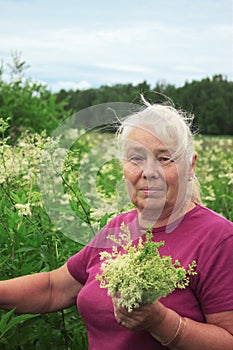 Woman picking flowers meadowsweet in meadows