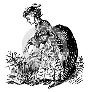 Woman Picking Flowers, vintage illustration