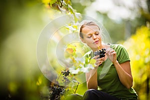 Woman picking grape