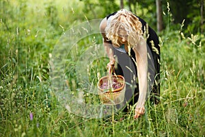 Woman picking herbal tea