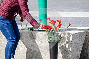 a woman picking red carnations at the celebration of April 25th in Portugal, â€œRevoluÃ§ao dos Cravos. Freedom day