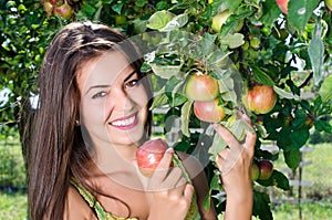 Woman picking a ripe apple from the tree.