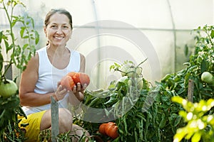 Woman picking tomato