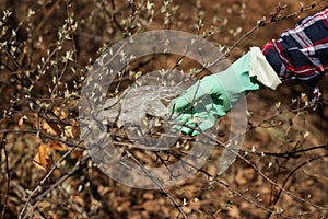 Woman picking up dump on dirty forest