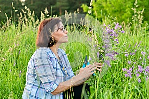 Woman picking wildflowers bells in a spring summer grass meadow.