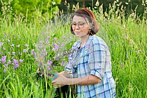 Woman picking wildflowers bells in a spring summer grass meadow.