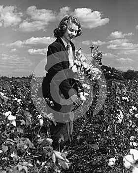 Woman picking wildflowers in field