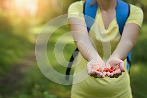 Woman picks fresh berries in the forest.