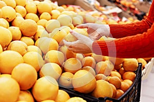 Woman picks juicy oranges in a supermarket. Healthy lifestyle and vitamins. Close-up