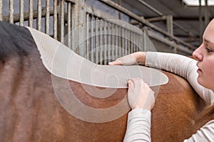 Woman places a blanket on the back of a horse