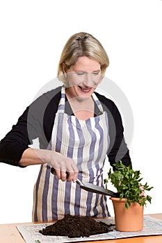 Woman with plant, pot, shovel, soil