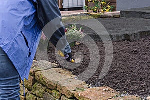 Woman planting a flowerbed