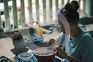 Woman planting little plant at home living terrace