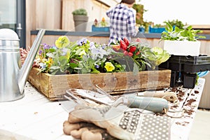 Woman Planting Rooftop Garden