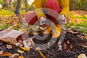 Woman planting tulip bulbs in a flower bed during a beautiful sunny autumn afternoon. Growing tulips. Fall gardening jobs.