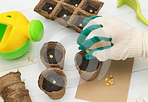 A woman plants vegetable seeds into the soil in a peat pot.