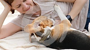 Woman playing with cute dog beagle, summer outdoors