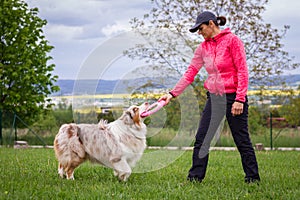 Woman playing with her Australian shepherd dog