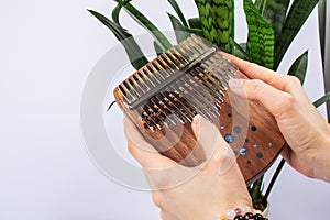 Woman playing for kalimba close up. Kalimba or Mbira is an African musical instrument in hands on white background. Music concept