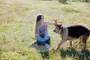 Woman plays with dog sheepdog training nice